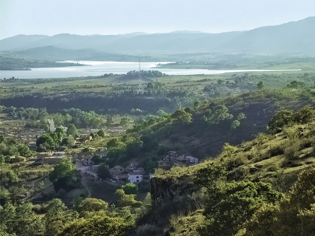 El Gobierno de Jalisco concentrará la reforestación en La Primavera, Tapalpa y otras regiones forestales.jpg